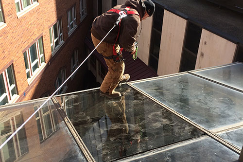 glass replacement photo